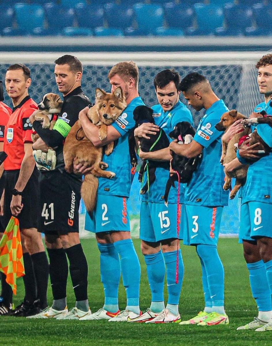 javier7lop's tweet photo. Salieron al campo con perretes que necesitan un hogar en San Petersburg.
Desde ya hincha del Zenit. https://t.co/MYa5BVBCGj