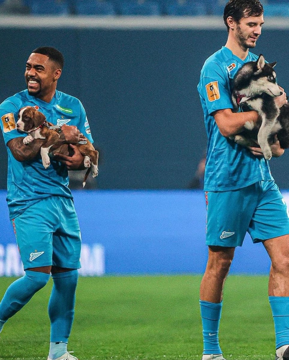 javier7lop's tweet photo. Salieron al campo con perretes que necesitan un hogar en San Petersburg.
Desde ya hincha del Zenit. https://t.co/MYa5BVBCGj