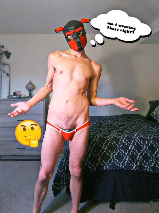 2 pic. ? help a pup out... Are these supposed to be so small? ? ...and why do I kinda like 'em?
#gaypup