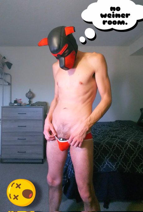 4 pic. ? help a pup out... Are these supposed to be so small? ? ...and why do I kinda like 'em?
#gaypup