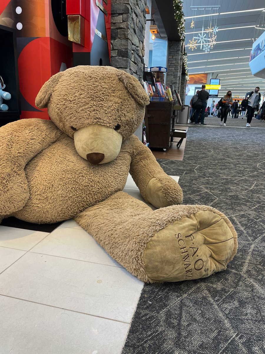 Hallease's tweet photo. Why do I feel like I’m seeing this bear at its lowest… https://t.co/kSSlJJ1IoT