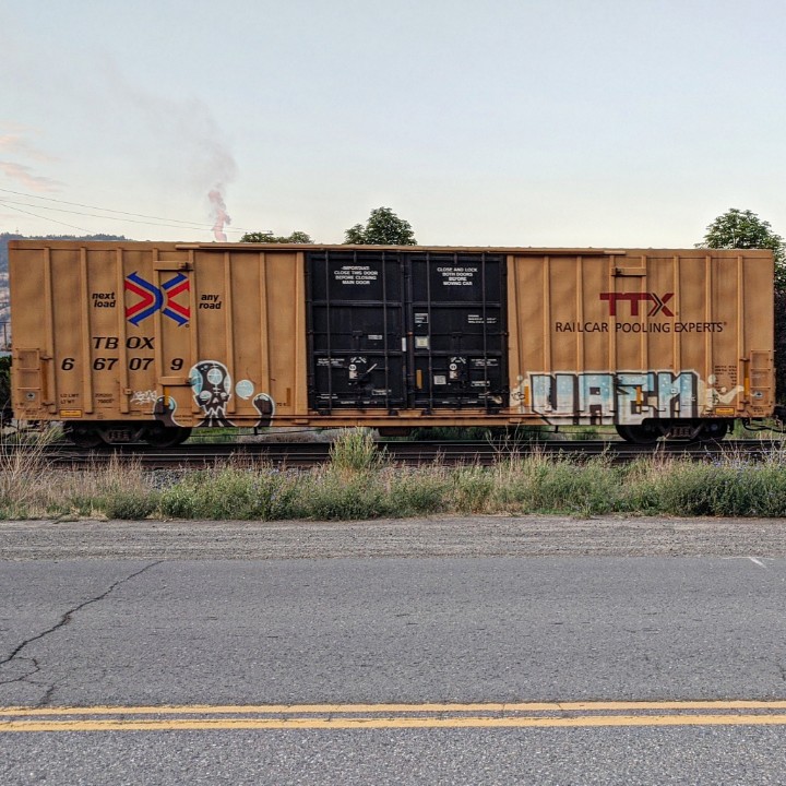GraffitiExpress's tweet photo. vaen
#kamloops #train #graffiti #art
#vaen https://t.co/dfiOWNA8An