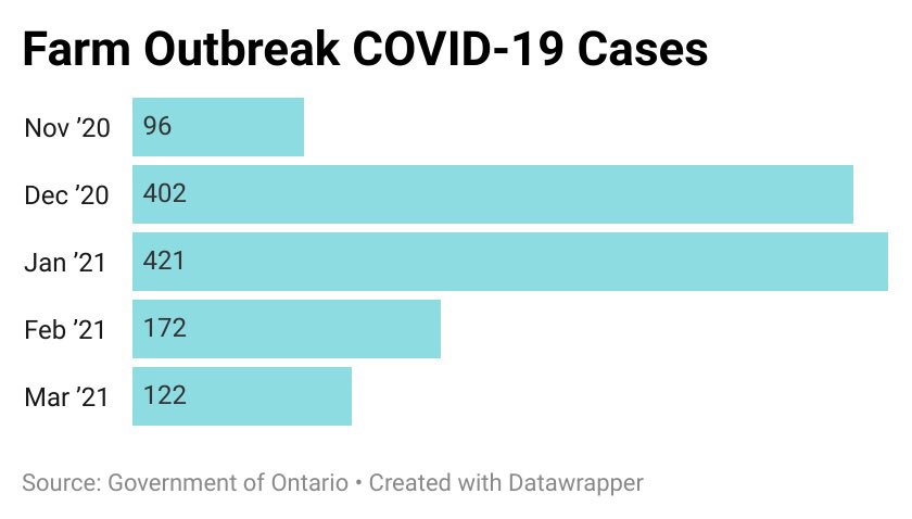 ShailRawalMD's tweet photo. Ontario saw a large # of COVID-19 cases associated with farm outbreaks last Winter.

While there were just 5 cases in Nov 2021, need to keep an eye on rising counts in PHUs with agribusiness presence, as farmworkers remain vulnerable to COVID-19 due to working/living conditions. https://t.co/y4niiKzOmk
