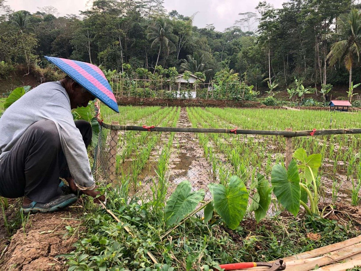 Our hearts and minds are with our 🇮🇩 Lighthouse Farm communities near Mt Semeru, East Java, as they continue their evacuation and rescue operations.

Join us in wishing them a speedy recovery for the hurt &amp; injured, and for the communities in general.

bbc.com/news/world-asi…