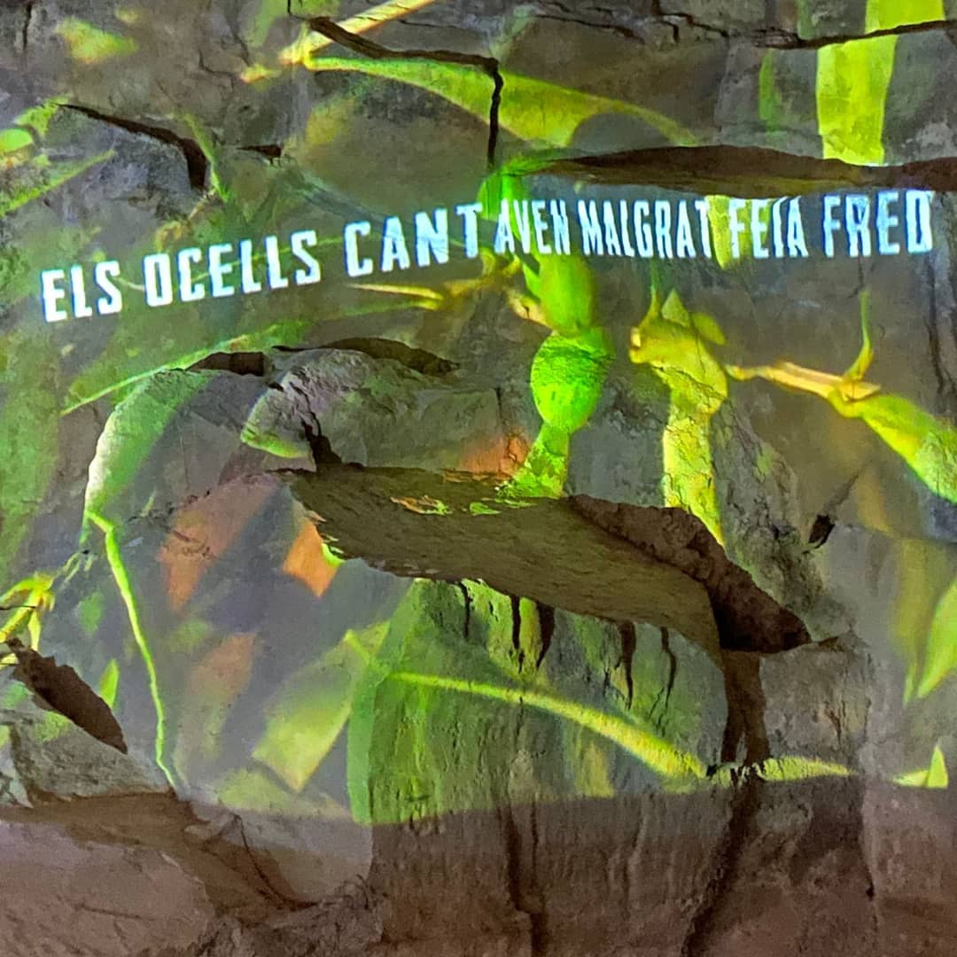 IBelltall's tweet photo. Exposició audiovisual Els Ocells cantaven malgrat que feia fred  de Ro Caminal @caminalro @cabanades_art
Una peça que indaga en la memòria popular  sobre el cultiu de l oliva en la Catalunya rural de la  postguerra. Projectada al fiter de la pallisda de Cal Badio https://t.co/cGje9dM0Vt
