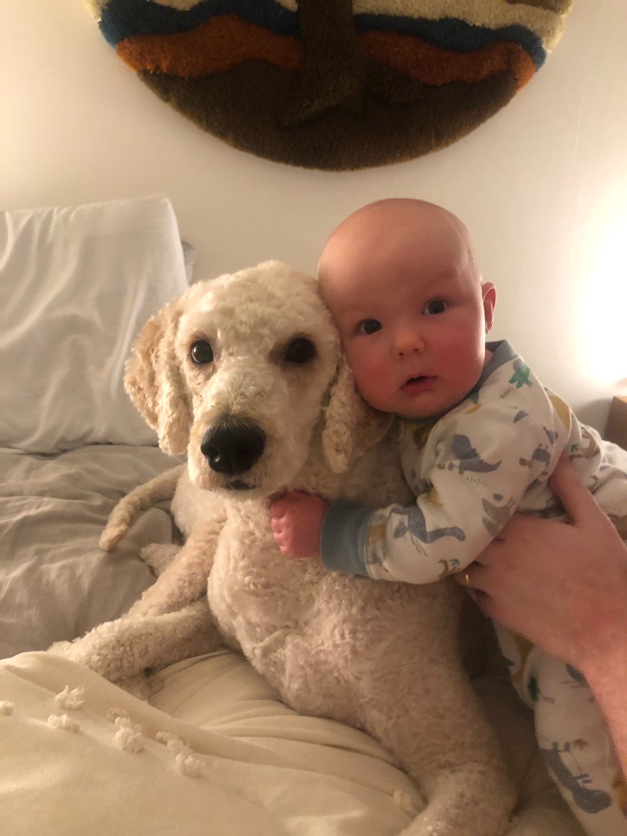 John P Erwin III MD MBA MACC (#BigPoppy ) tweet media