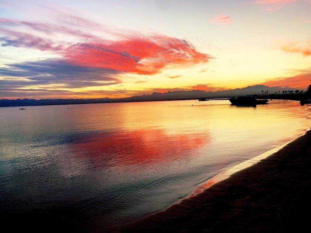 Nilemajesty's tweet photo. @MadHattersNYC @USAS_WW1 @Travel_Session @travelingmkter @RoarLoudTravel @GalsWander @JourneyHeroApp @angelsnmom @FE_photograph @Adventuringgal @Chalkcheese111 @jenny_travels @lizzie_hubbard2 @LindaPeters64 @VisitGreecegr @ExperienceEgypt @_sundaysunsets_ Thank you totally agree with you Greece has spectacular sunsets Egypt also has epic sunsets the sun is fiery red and the skies bursts with colors depending on the time of the year and the region hopefully you get to visit soon #SundaySets @_sundaysunsets_ @ExperienceEgypt https://t.co/NVG12drEjK