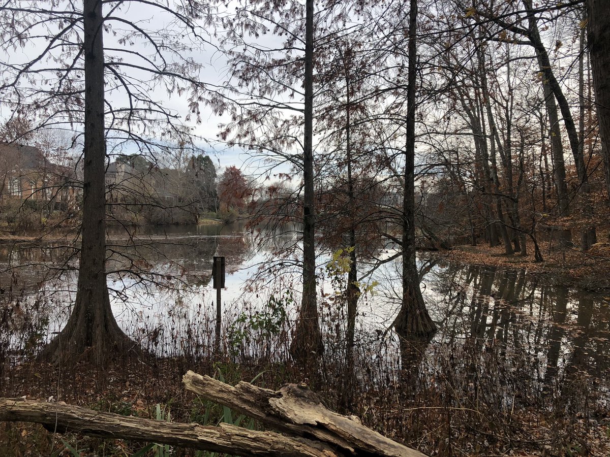 Cultural_Chron's tweet image. Bicentennial Garden. Greensboro, NC