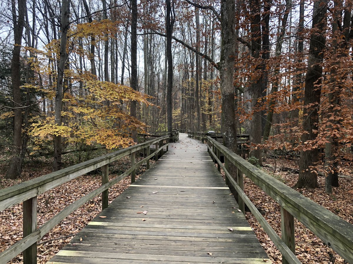 Cultural_Chron's tweet image. Bicentennial Garden. Greensboro, NC