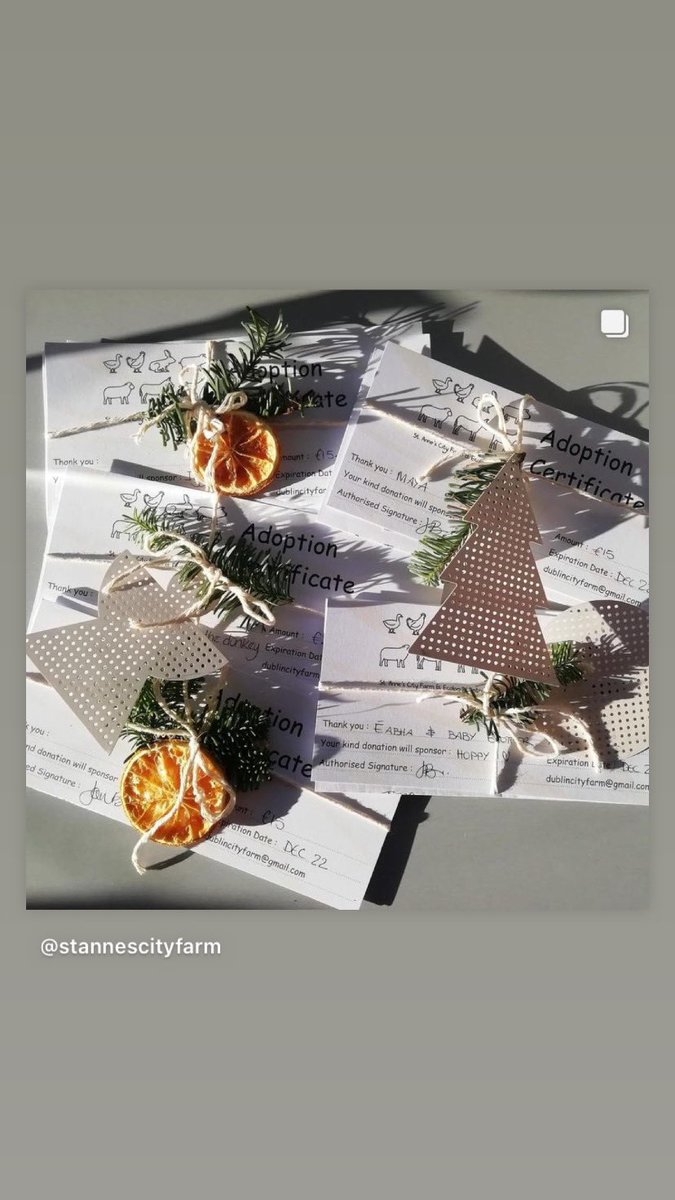 Looking for some unique gifts and stocking fillers this year, we have adoption packs, farm calendars, reindeer food, hand painted pictures of animals, etc. All available online and from the farm shop. PM us if you’d like details on any of our gifts 🎁 🎄🎅🏻✨#cityfarm #community