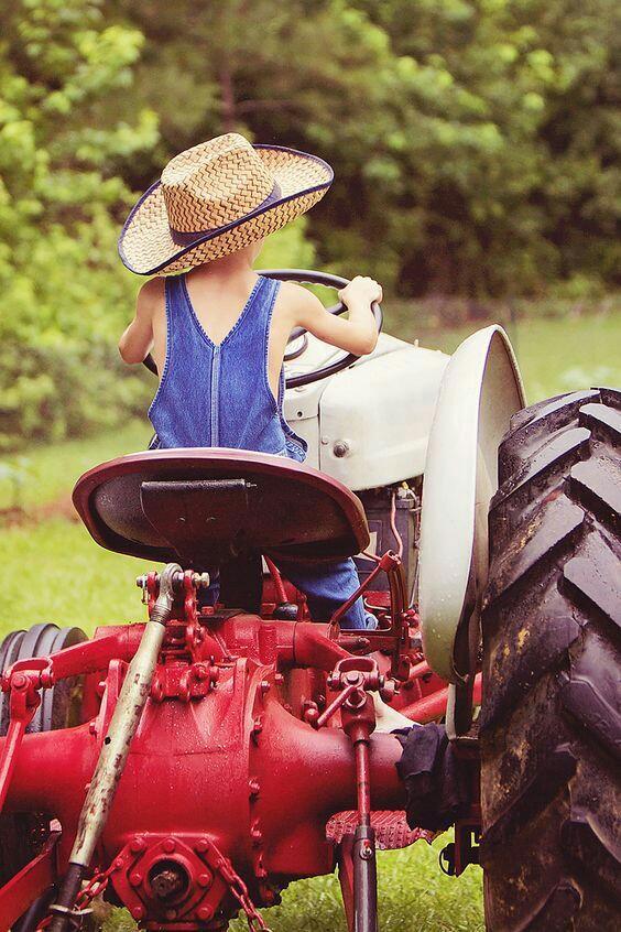 Voetspore_SA's tweet photo. Voetspore / Footprints - Limpopo - start your training early and you will never be sorry. #farmersday #Farmers https://t.co/hUYc3DJ0ug