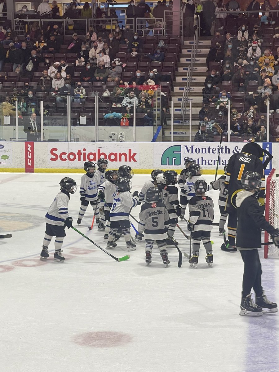 tedloxton's tweet photo. The most entertaining part of the @StingHockey game so for. https://t.co/y6spELo26r