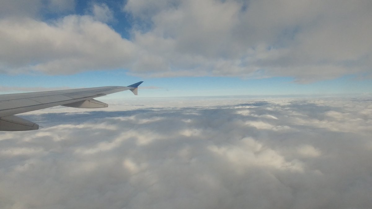 Lauren E. Kachel tweet media