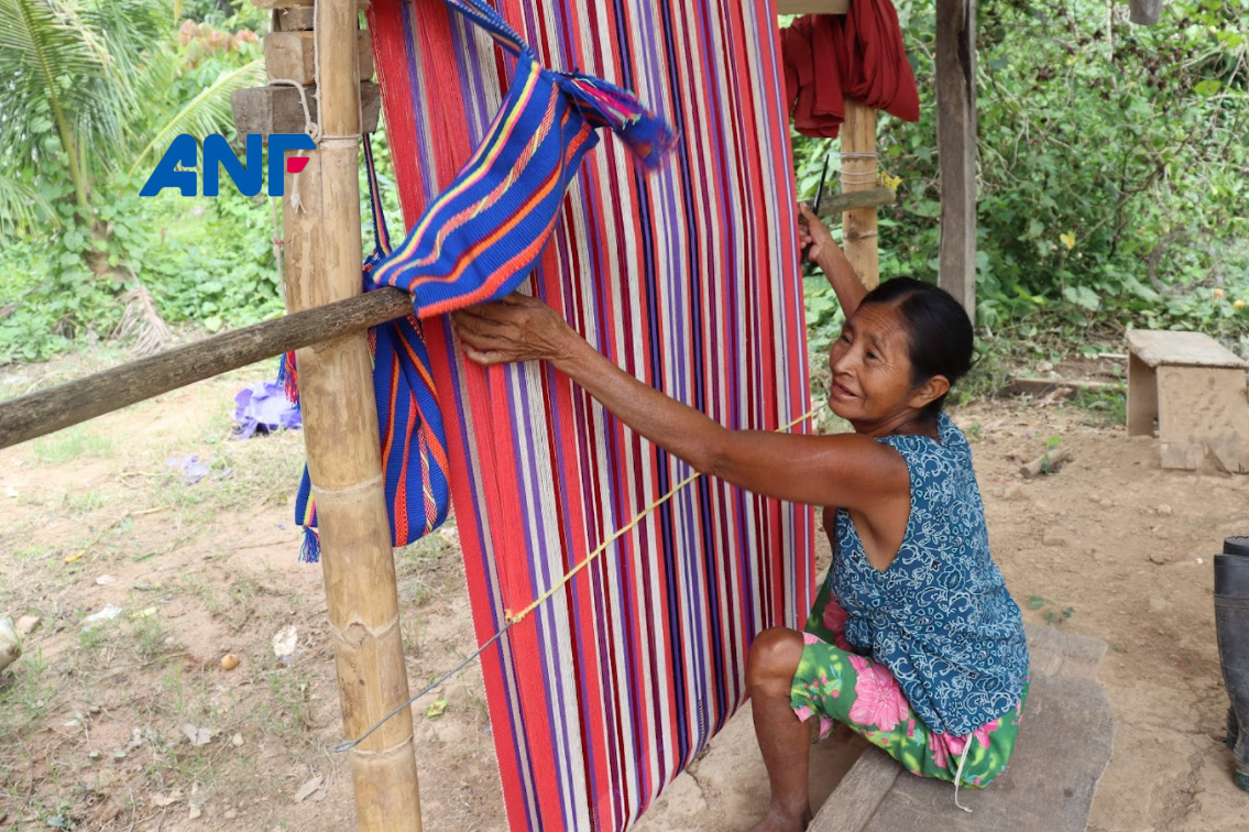 #ANF La Subcentral de Mujeres del TIMI apuesta a fortalecer las actividades económicas de las indígenas

-->> bit.ly/3DoOapJ <<--