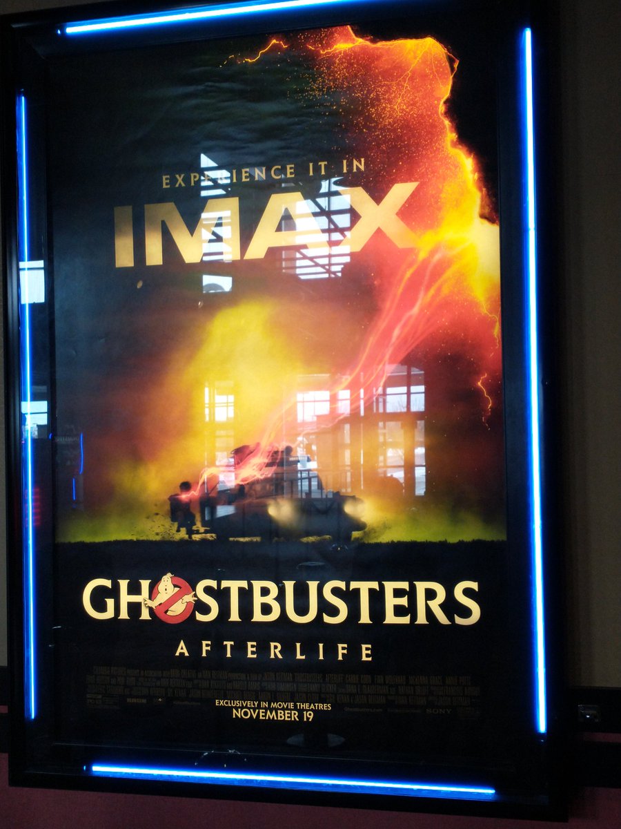 Turtle Fan Forever! tweet media