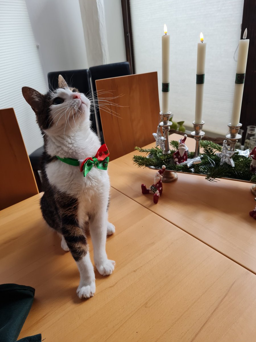 AlexFindichgut's tweet photo. Im #twittertuerchen gibt es heute einen lieben Gruß zum 2. Advent... https://t.co/2K4dDDapaW