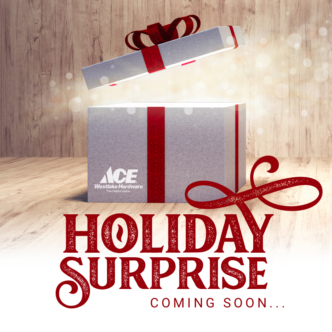 It’s that time of the year! We are loading up our sleigh and building a wave of holiday cheer! This week we will be gifting a very important non-profit with a Holiday Surprise. Stay tuned…