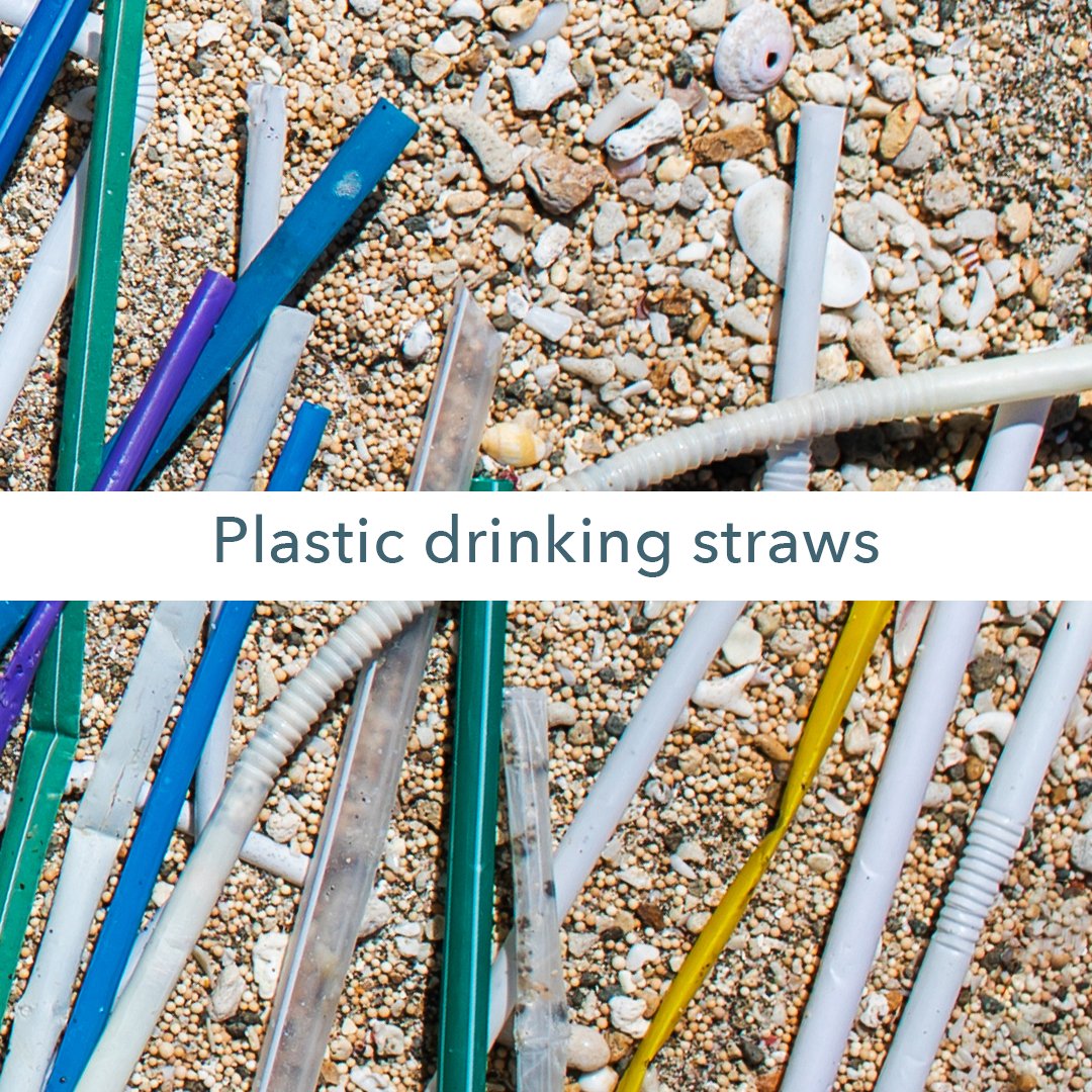 The Government of Canada plans to achieve zero plastic waste by the year 2030. A key part of this plan includes banning harmful single-use plastic items that are often not recycled, and are found in our environment most frequently. Scroll to see what may be banned.