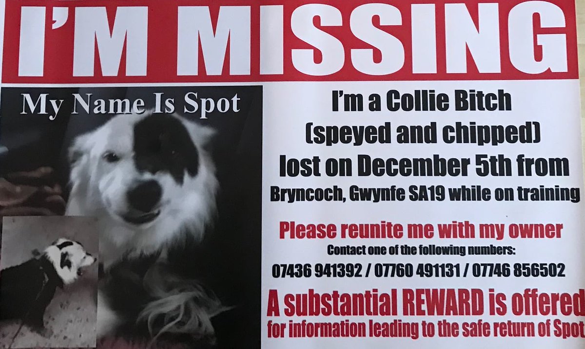 LisaLisaw1's tweet photo. πππ #FindSpot πππ#MissingThreeYears πππ https://t.co/L0jGxcDtOv