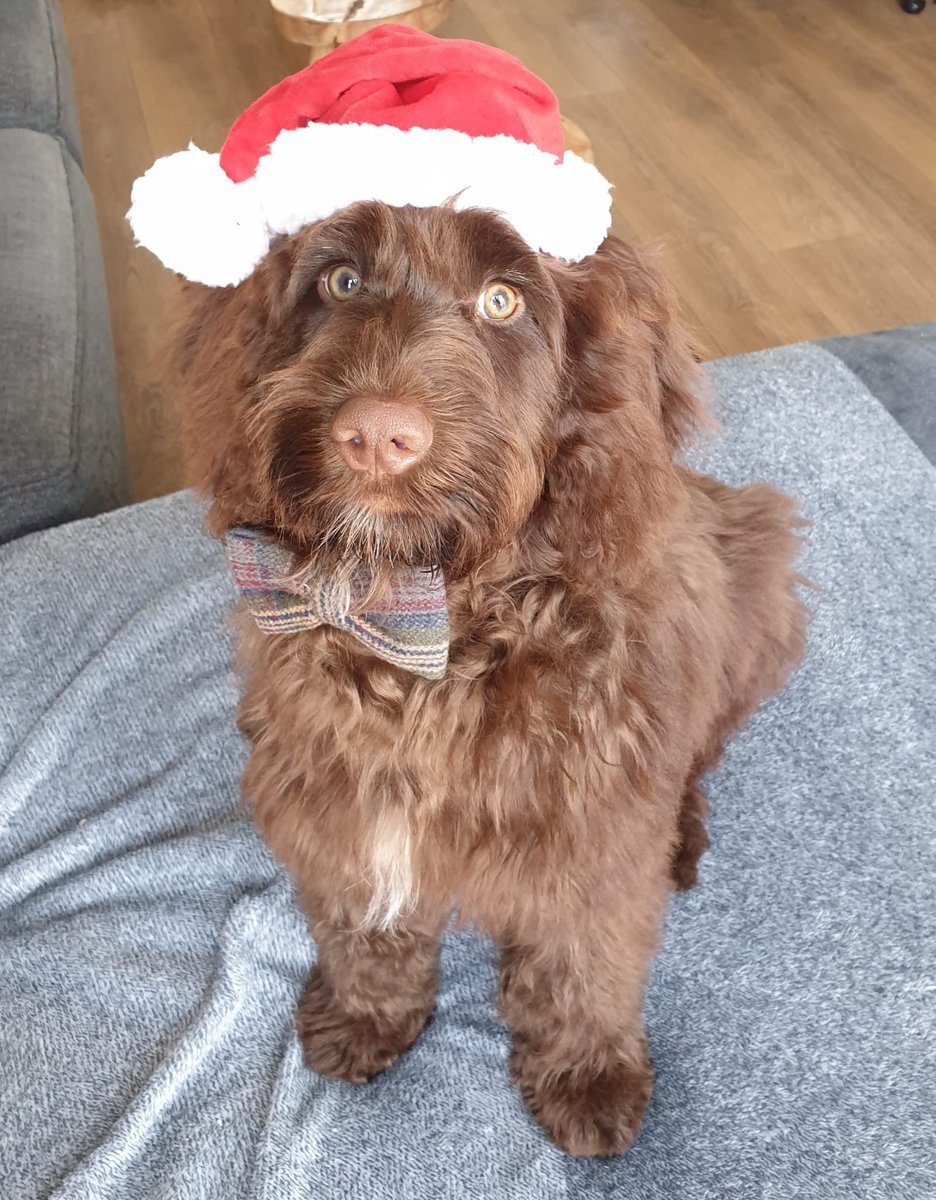 Alfiemoo 🎅
He’s just perfect ❤️