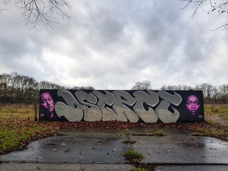Netherlanders's tweet photo. These are stencils by Trendkill in Ede. I love his work! And he's a really nice guy. I hope he'll do a stencil on my house 🤞.

#streetartede #trendkill #trendkillstencils On insta: @trendkill_stencils https://t.co/YqFI2DQTo9