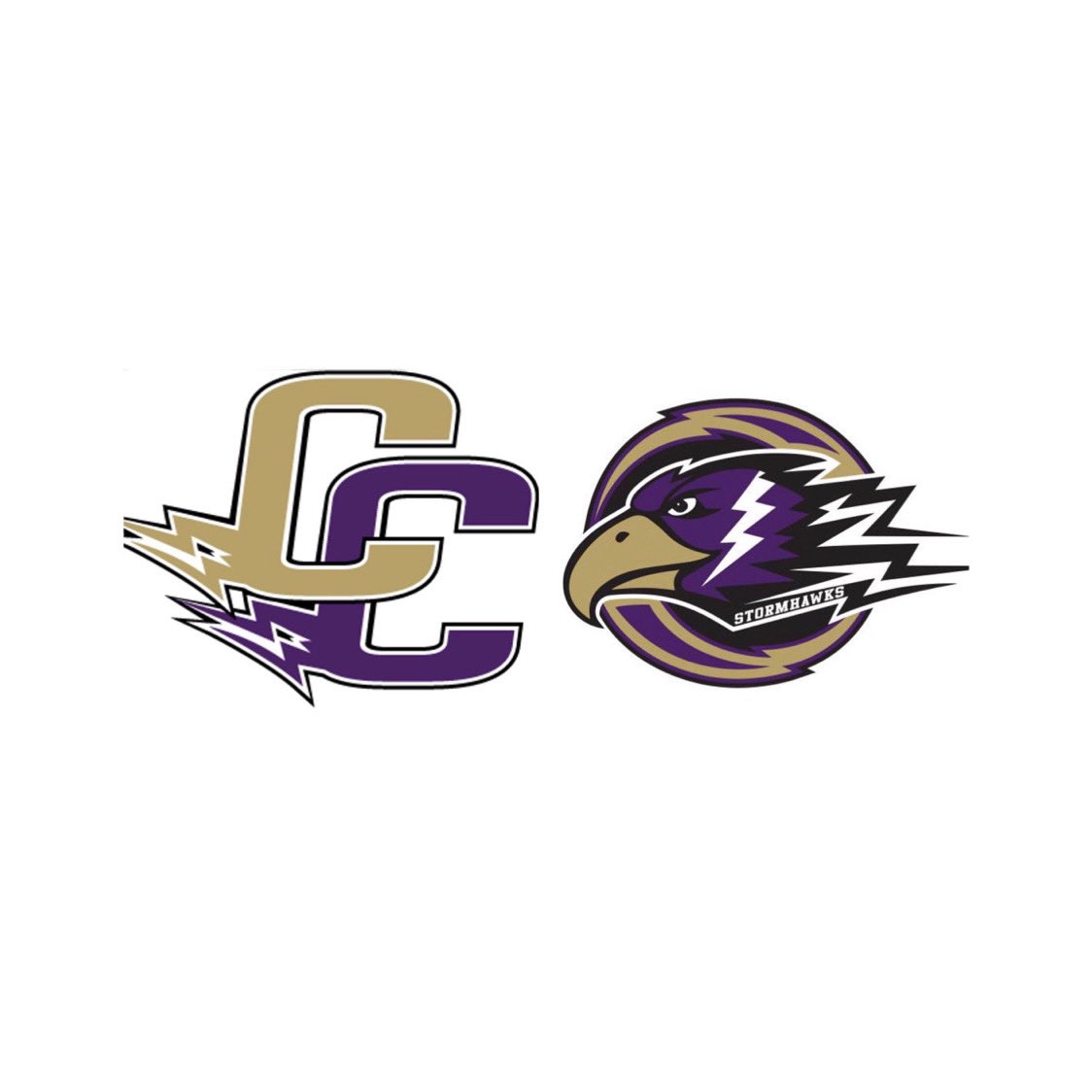 Wrapping up Duluth tournament with a loss to Rodgers.  For many on the team this was their last youth hockey tournament as 2nd year Bantams. Memories and the friendships made that are priceless.  Safe travels home you all the teams.