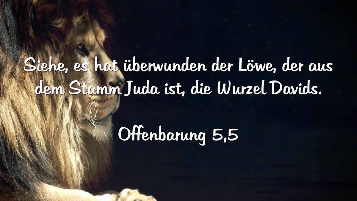 Jesusliebtdich's tweet photo. #Jesus kommt 2x auf die #Welt.Vor rund 2000 Jahren kam er zum 1.Mal. Er kam als hilfloses #Baby.Gott wurde Mensch,um uns durch seinen #Opfertod &amp; die #Auferstehung für immer mit #Gott zu versöhnen –am #Ende der Zeiten erscheint #Jesus als Richter denen,die ihm nicht vertrauten. https://t.co/dFdmDDcro0