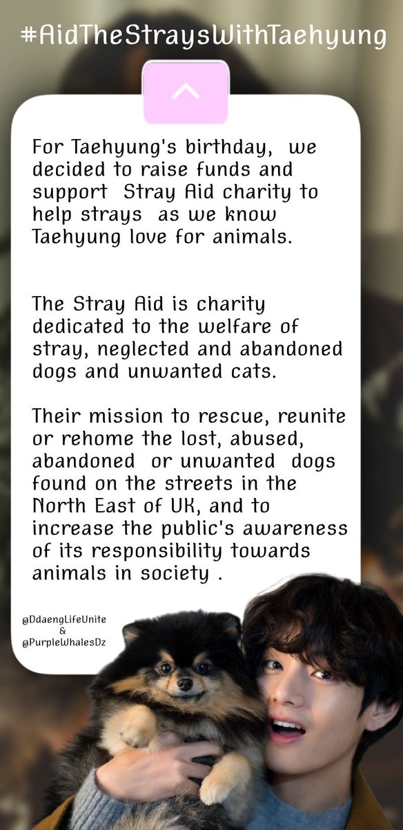 DdaengLifeUnite's tweet photo. #AidTheStraysWithTaehyung: 

In celebration of Taehyung's birthday, we collaboration with @PurpleWhalesDz to support @StrayAidDogs by raising funds to help stray dogs and prevent the euthanasia of healthy strays. 

Donate : https://t.co/Cvgah9SjzS https://t.co/3c4K46Vtao