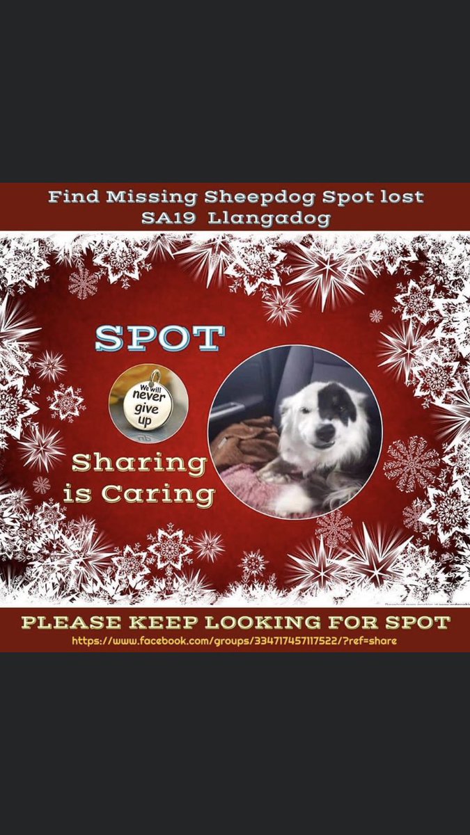 ❗️#findSpot #Female #Collie Distinctive Markings❗️
Escaped from training kennels #Gwynfe #Llangadog #SA19 #Wales 3 Years Today 5/12/18
Was she found & kept? sold on? 
A dog doesn’t simply disappear! Someone Somewhere knows!
#chipped #CheckthatChip #PetTheft #TheftByFinding