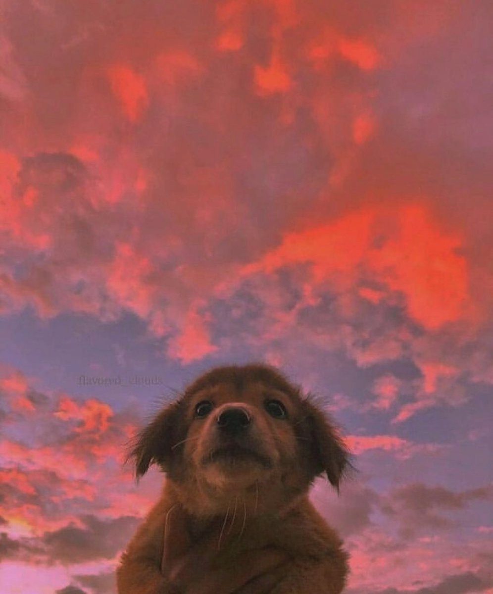 aestheticspost_'s tweet photo. https://t.co/5QKv01XzFV