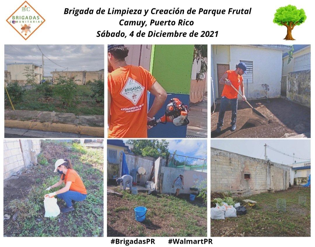 brigadaspr's tweet photo. Sabemos que estamos sembrando las semillas correctas cuando ayudamos a una Comunidad a convertir un espacio abandonado en un Parque Frutal Comunitario. 💪🌳 #brigadaspr 🇵🇷 Con el maravilloso apoyo de #WalmartPR ♻️🌎🧡 https://t.co/HixJoxjW5W