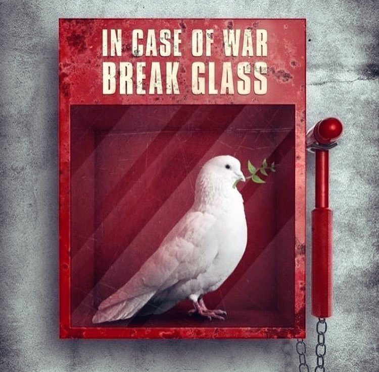 charmingDetails's tweet photo. Dove of peace 🕊♥️ https://t.co/HymIL1HI0F