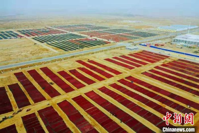 ChinaDaily's tweet photo. Jujube drying sites in southern #Xinjiang Uygur autonomous region create a special scene during #harvest season. https://t.co/7nYSehrsnf
