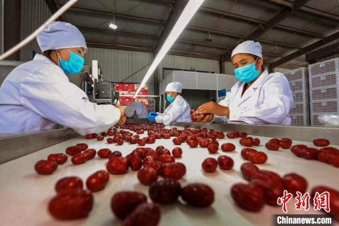 ChinaDaily's tweet photo. Jujube drying sites in southern #Xinjiang Uygur autonomous region create a special scene during #harvest season. https://t.co/7nYSehrsnf
