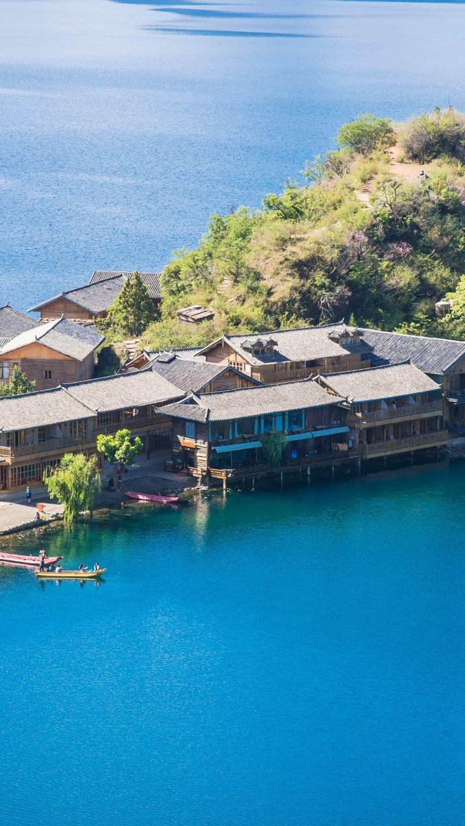 fBitnic's tweet image. 