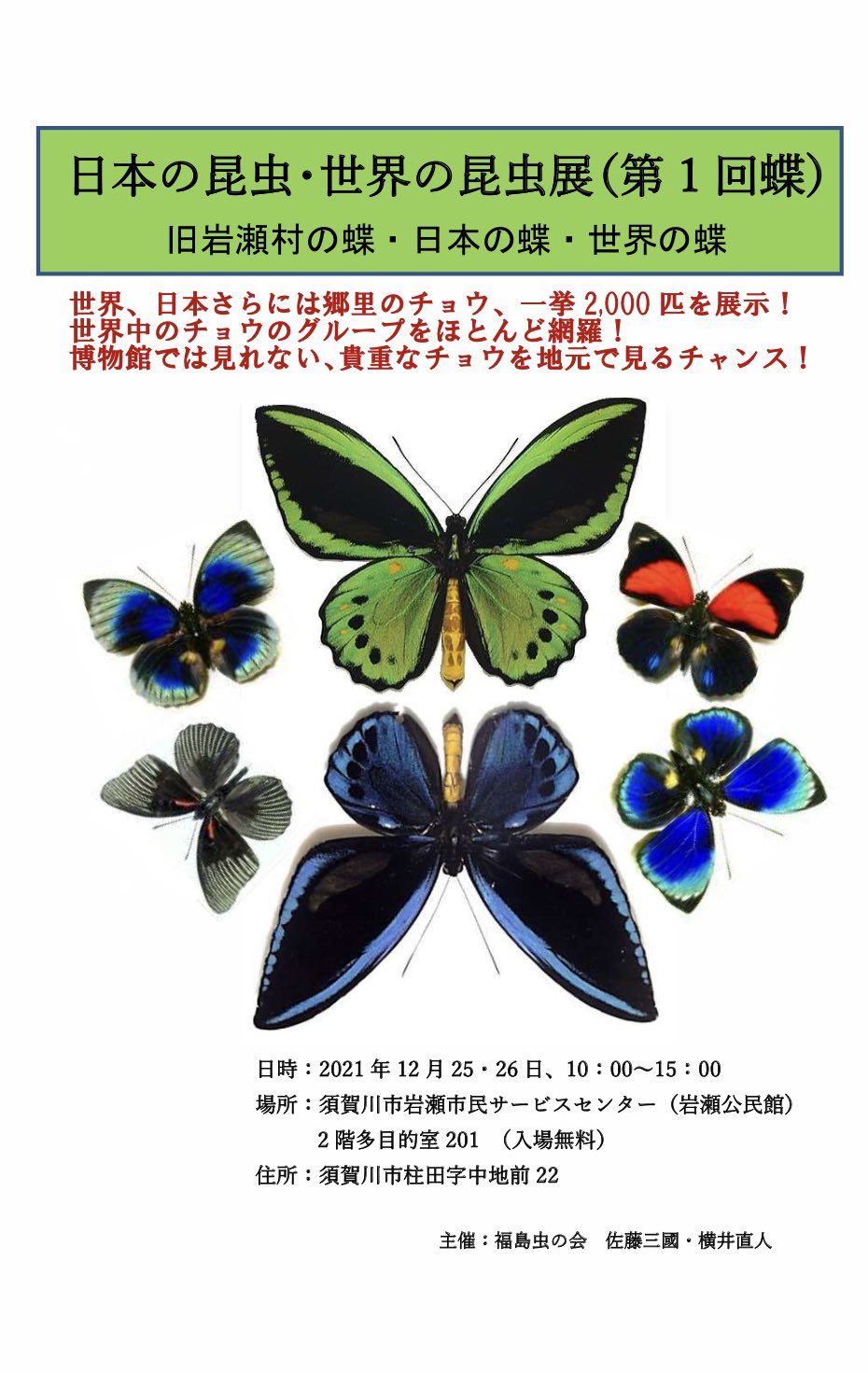 福島虫の会 on X: 福島虫の会 on X: