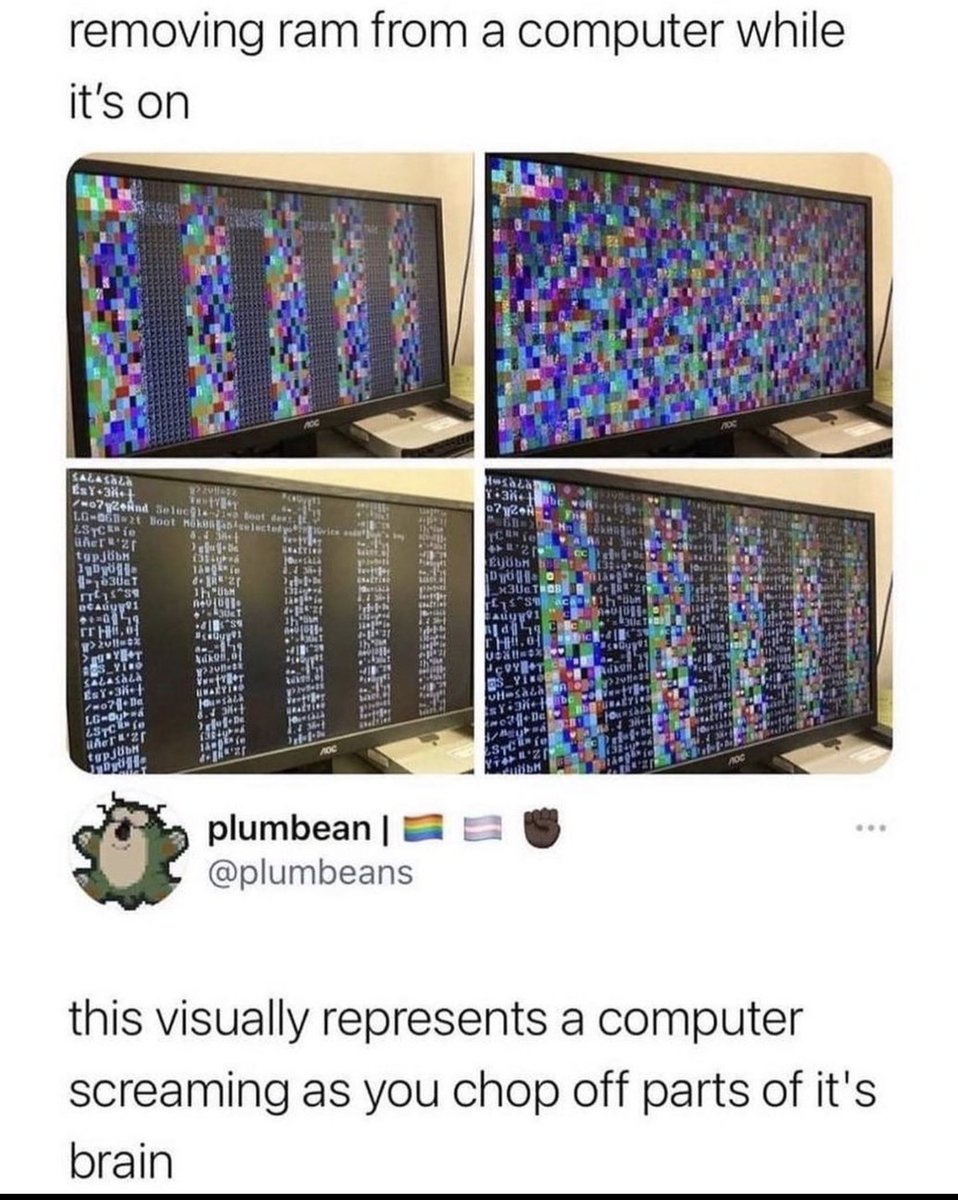 Lucas thies tweet media