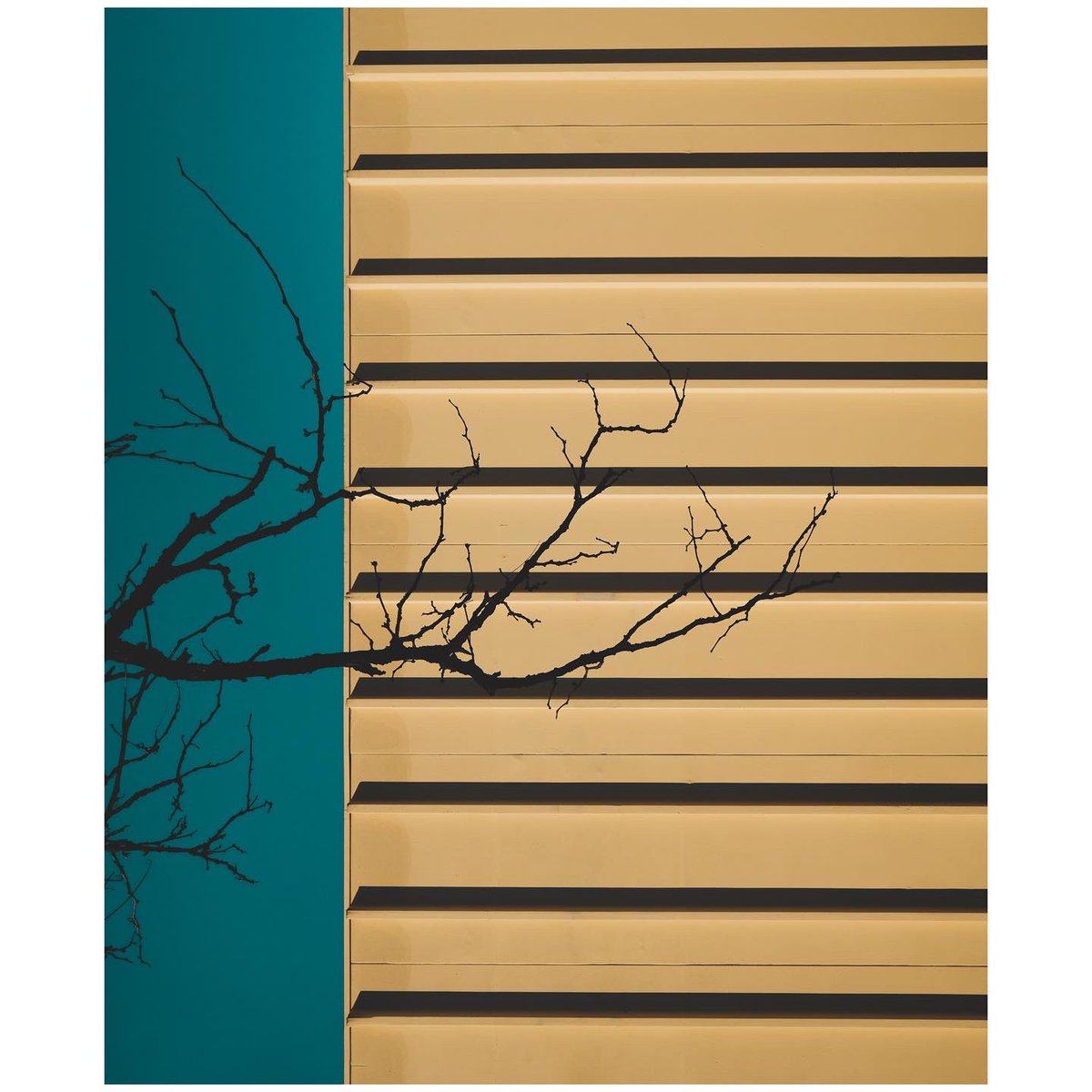 chris stein tweet media