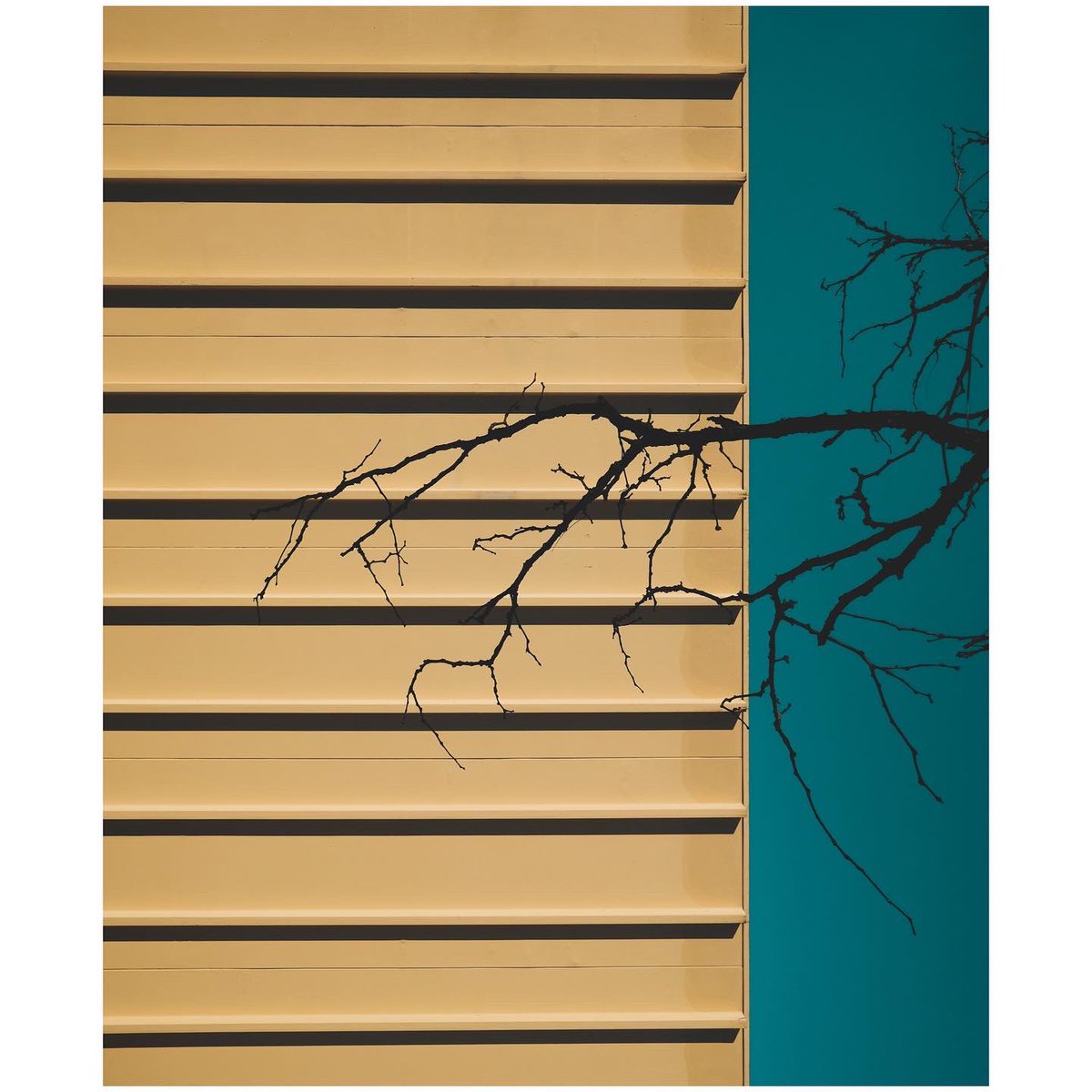 chris stein tweet media