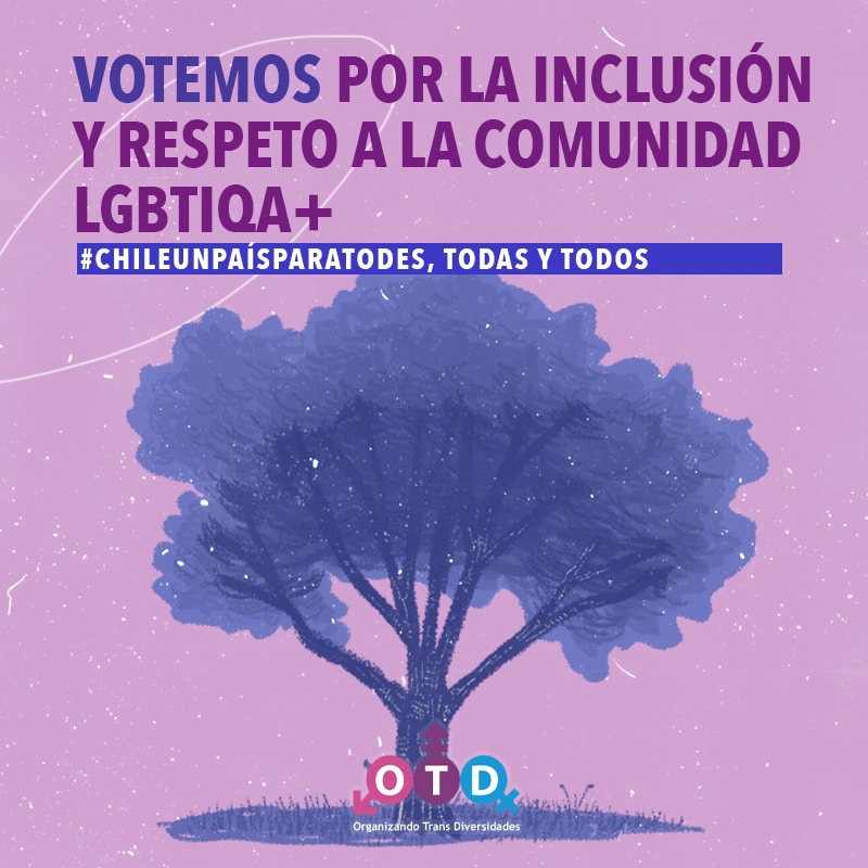 OTDChile's tweet photo. Votemos por la inclusión y respeto a la comunidad #LGBTIQA+
Esto solo es posible con #BoricPresidente 

#ChileUnPaísParaTodes, todas y todos. 
#Seguimos https://t.co/cobdxONkNG