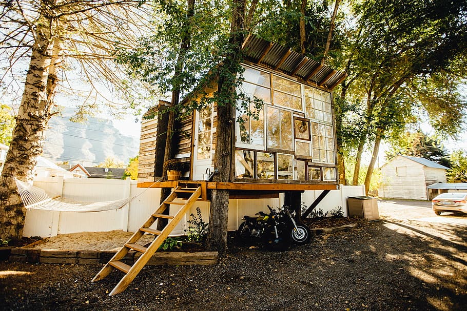 WheatonRachelle's tweet photo. Sooooo beautiful! Love the window wall. 
Dream treehouse
#shesheds #placetomyself #outdoorstudio #smallspaces #poolhouse #ADU  #amazingspaces #upcycling #shed #treehouse #modern #building https://t.co/isbNBUGz9w