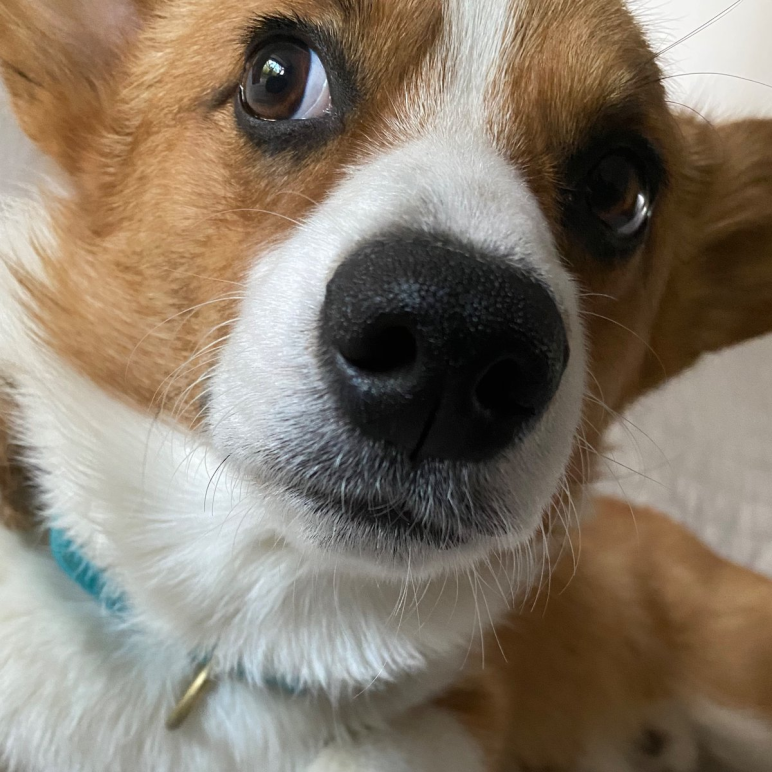 Alex Becker 🍊🏆🥇 tweet media