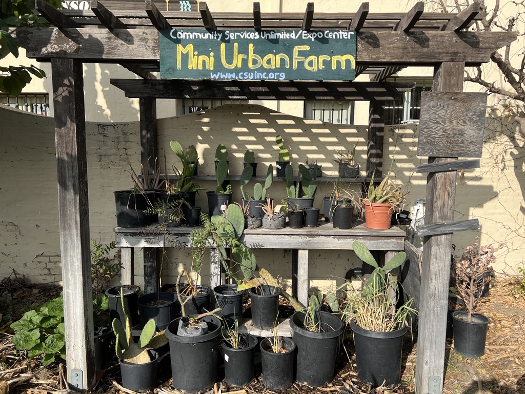 Airport2Park's tweet photo. Checking out the Expo Mini Urban located at  Exposition Park Farm while at @CicLAvia run by United Sevice Unlimited. #CicLAvia #CommunityGardens #ParksBuildCommunity https://t.co/9o82Gj2NZy
