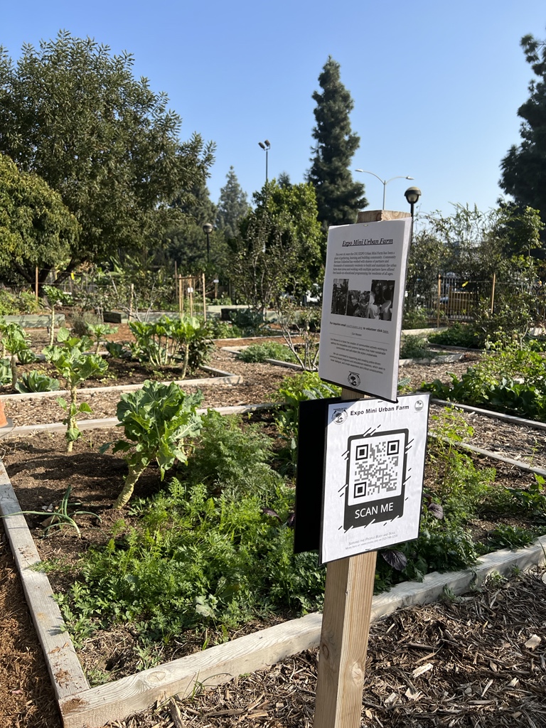 Airport2Park's tweet photo. Checking out the Expo Mini Urban located at  Exposition Park Farm while at @CicLAvia run by United Sevice Unlimited. #CicLAvia #CommunityGardens #ParksBuildCommunity https://t.co/9o82Gj2NZy