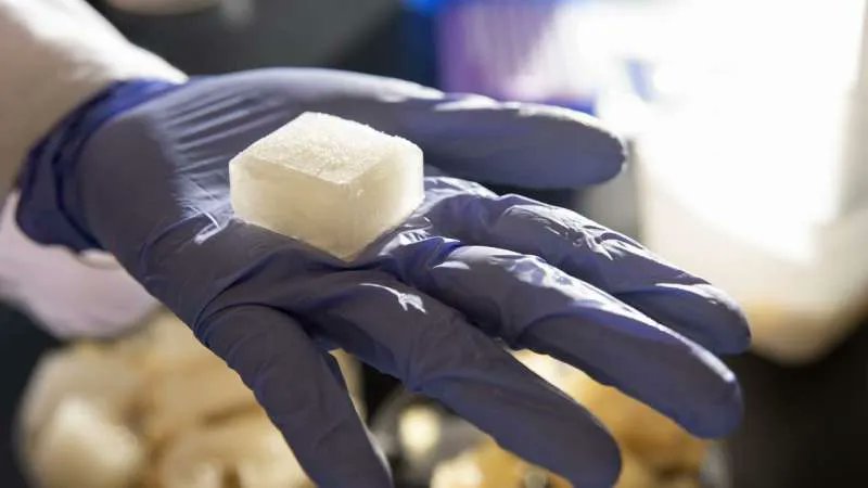LabscoopJohann's tweet photo. Researchers develop ice cube that doesn't melt or grow mold https://t.co/B1EEhNGSiF https://t.co/TC9X4TbDR3