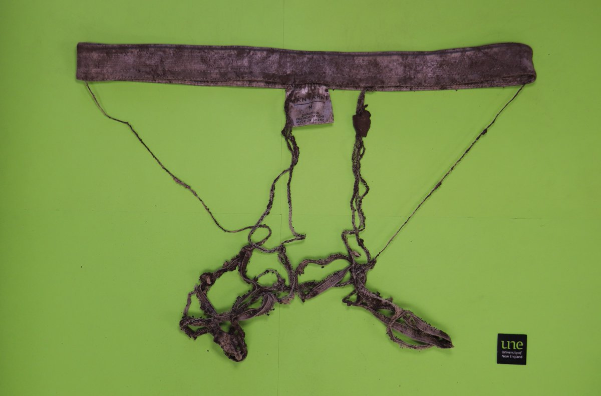 Celebrating world soils day with CottonInfo - mailchi.mp/crdc/celebrati…
#soilyourundies #worldsoilsday