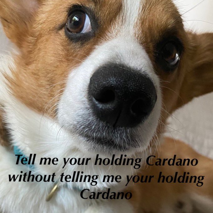 @ZssBecker https://t.co/9JMYwJX8M9<a class="tags" target="_blank" title="On Twitter" href="/?out=eyJ0eXAiOiJKV1QiLCJhbGciOiJIUzUxMiJ9.eyJpYXQiOjE3MjI4OTU1MDAsImlzcyI6InR3cG9ybnN0YXJzLmNvbSIsIm5iZiI6MTcyMjg5NTUwMCwiZXhwIjoxNzU0NDMxNTAwLCJyZWRpcmVjdF91cmwiOiJodHRwczovL3R3aXR0ZXIuY29tL1pzc0JlY2tlciJ9.pT30dwou4-UNEMte5ksXV2J75KYmCLNxhguGibMmx2zO63cGm8cCJLmZygIvvH2c2sasJ9v6t4q8WBy_WCT6JA">@ZssBecker</a><a href="/tag/nftcommunity"class="tags"><span>#nftcommunity</span></a><a href="/tag/nftcollector"class="tags"><span>#nftcollector</span></a><a href="/tag/nftgame"class="tags"><span>#nftgame</span></a><a href="/tag/slotien"class="tags"><span>#slotien</span></a>