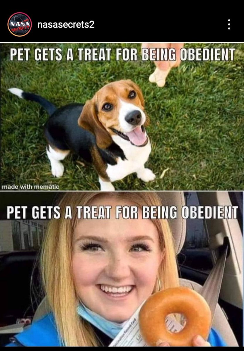 utopianrobot's tweet image. 