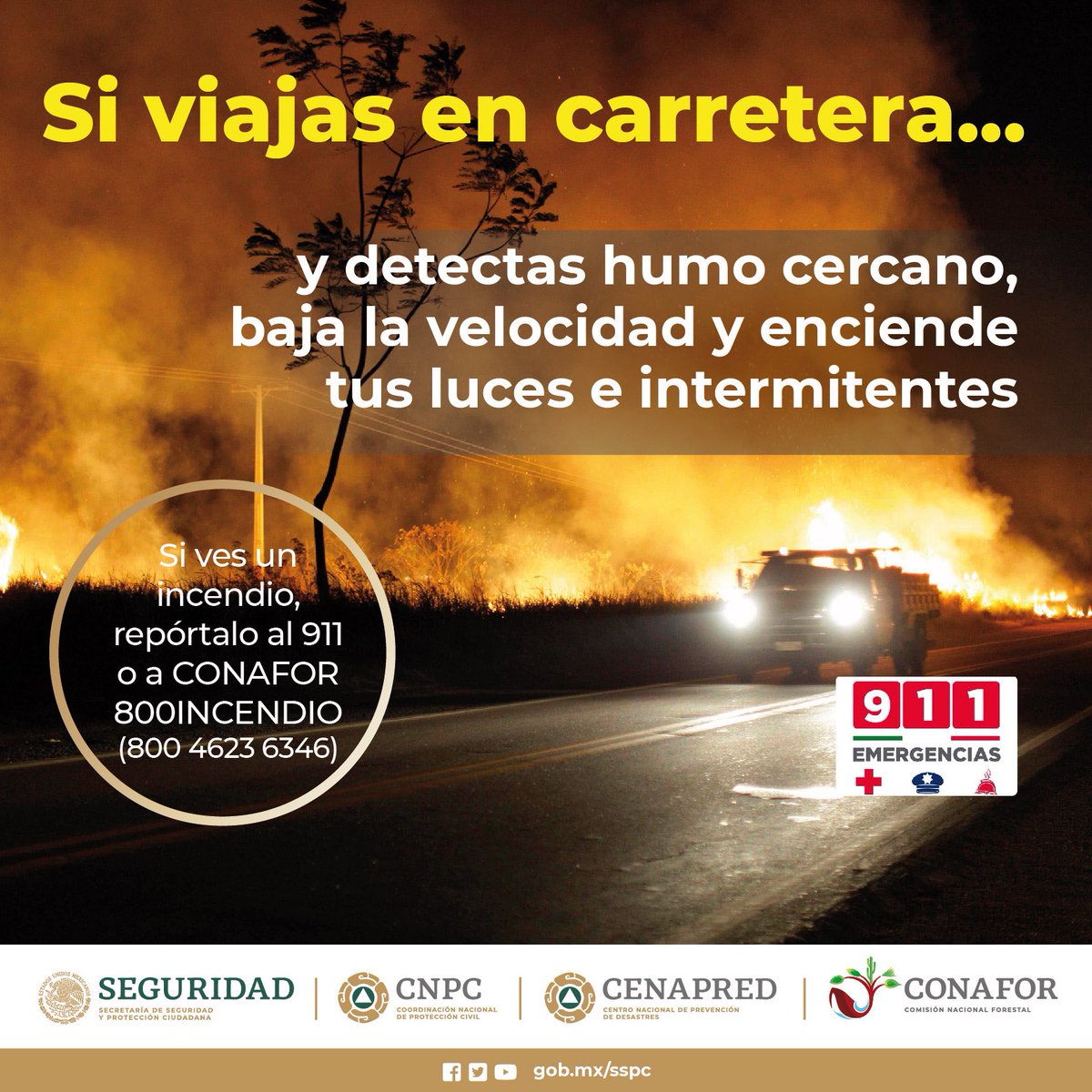 CNPC_MX's tweet photo. 🚫🔥🌳 Todos podemos ayudar para evitar #IncendiosForestales. Si ves humo o #fuego en zonas con vegetación, avisa inmediatamente ☎ al #911 o a @CONAFOR.

@laualzua https://t.co/VfDUSgxstR