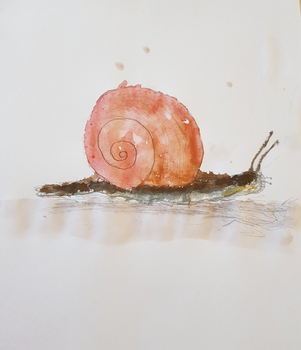 JBojaxhiu's tweet photo. #PaintWithLove #Children #rose #art #acquarello #lumache https://t.co/wbiQTICnKm
